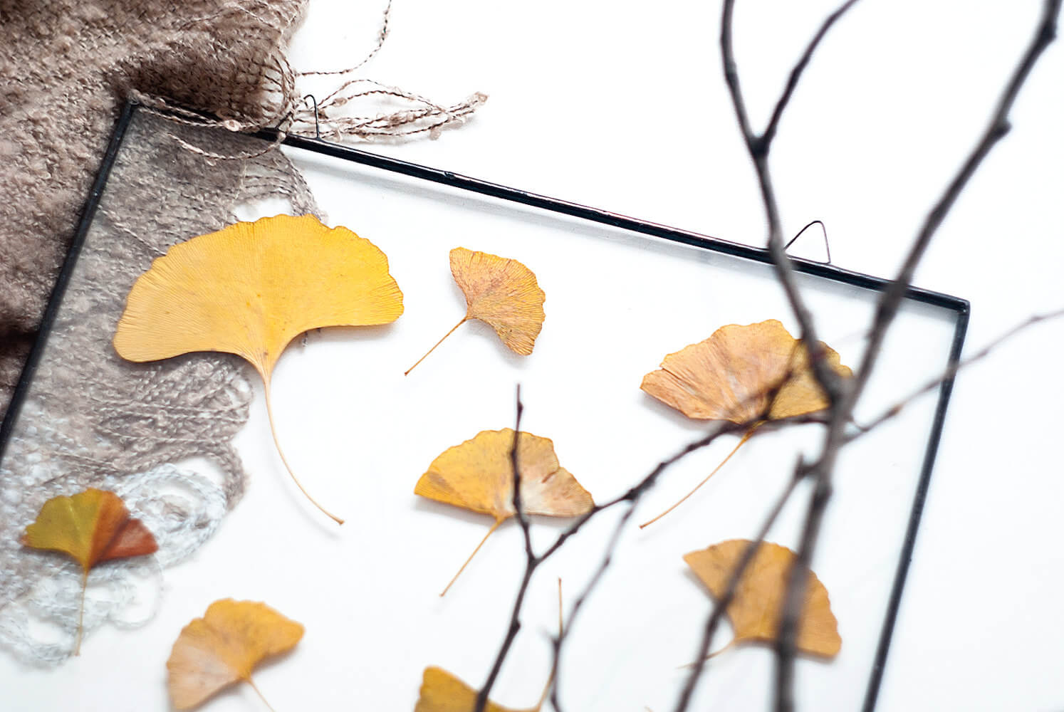 DIY fall leaf decor in a beautiful pane of glass